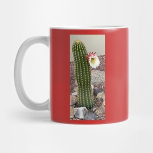 Cactus Flower Mug